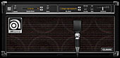 Ampeg SVX