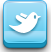 Twitter yiomultimedia